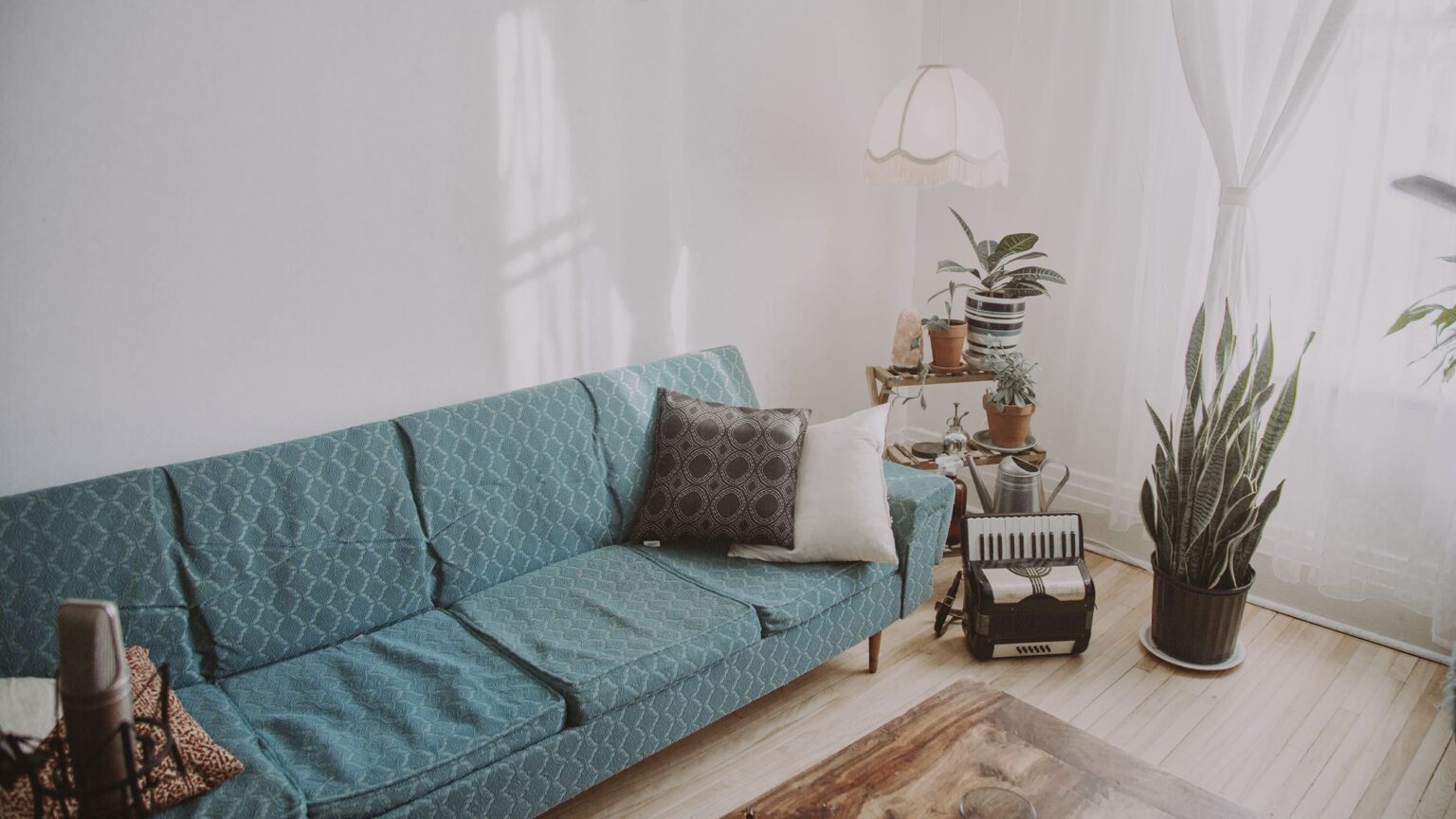 Home Top Steam Carpet