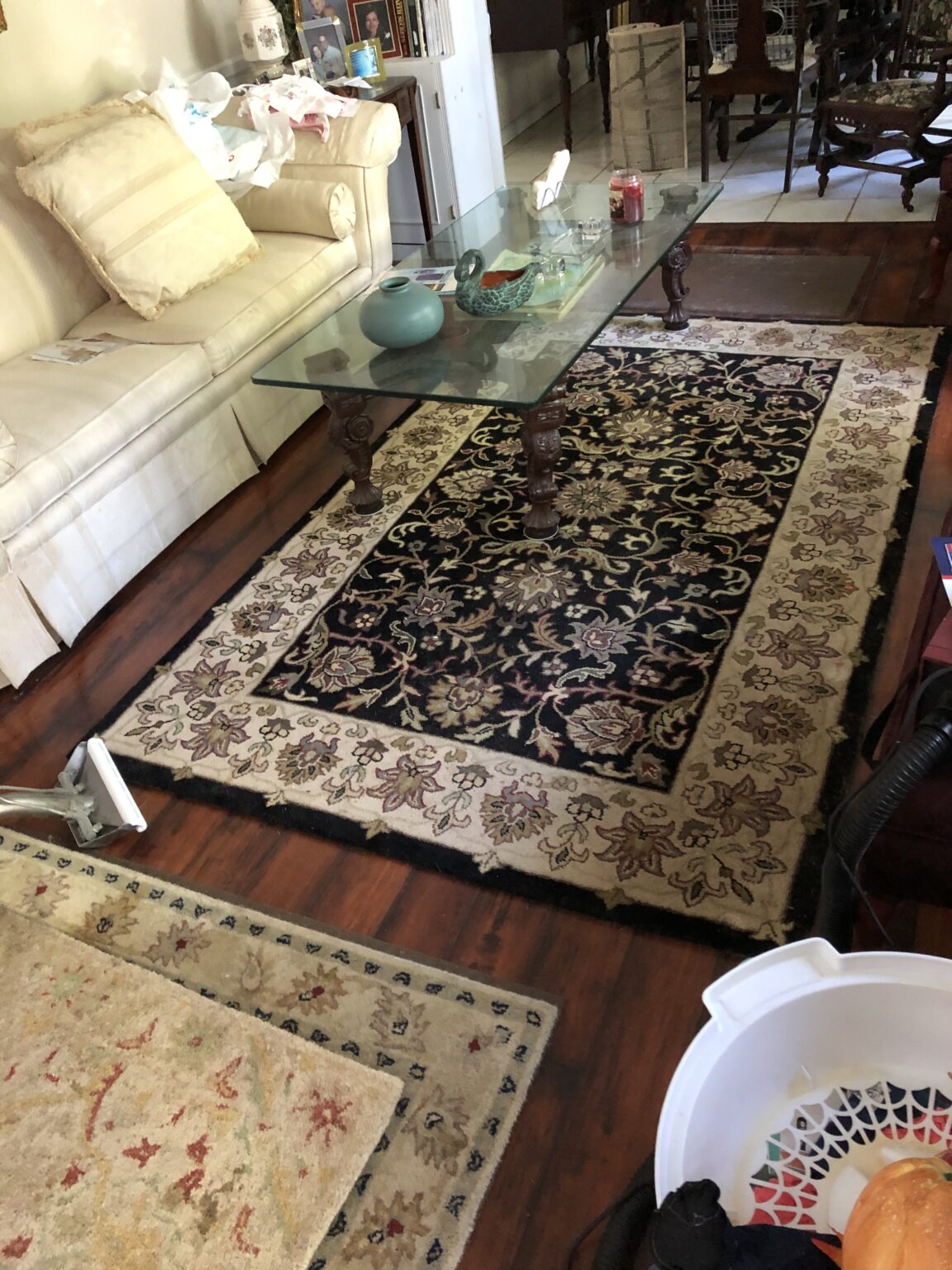 Gallery Top Steam Carpet