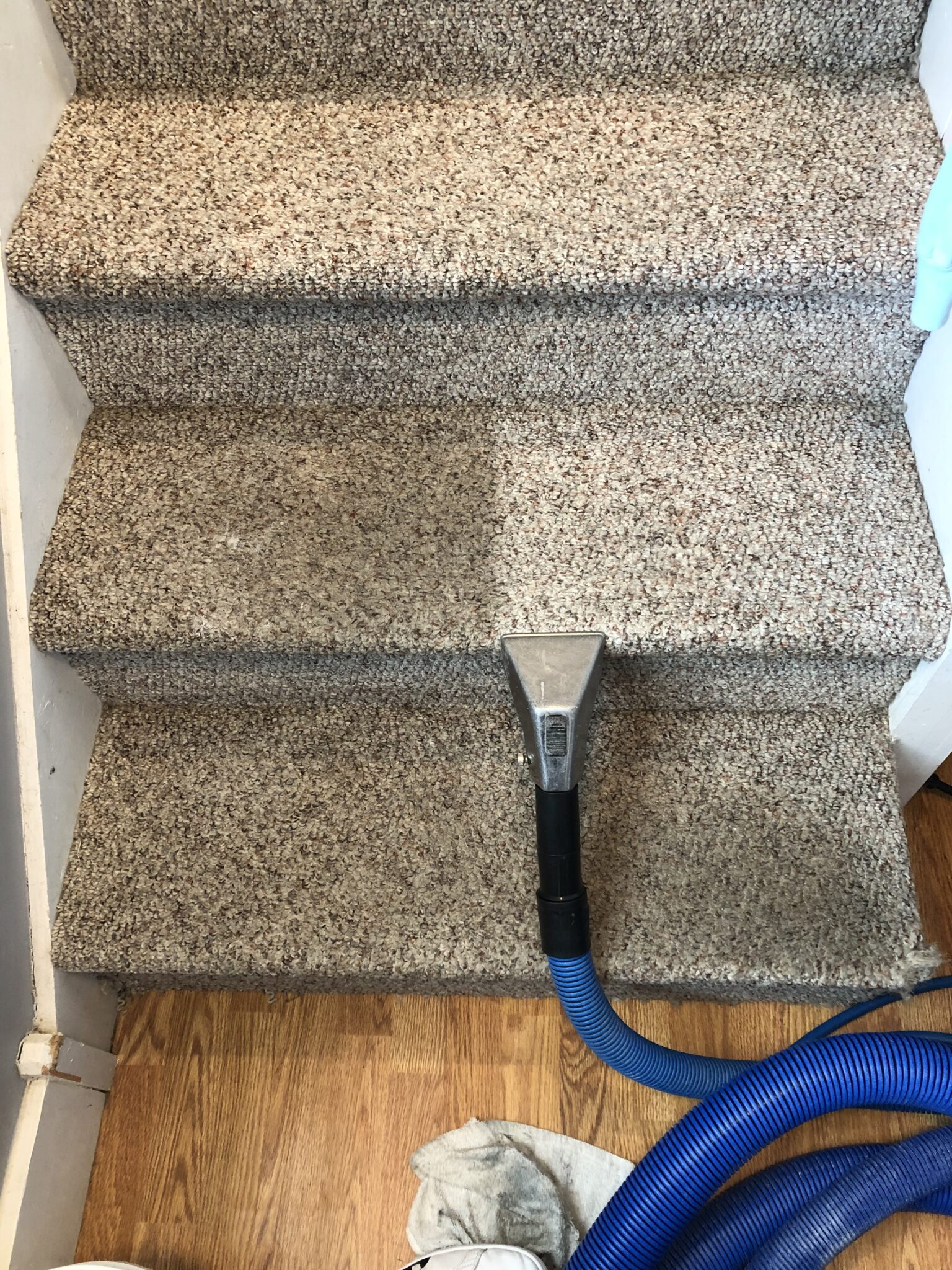 Gallery Top Steam Carpet