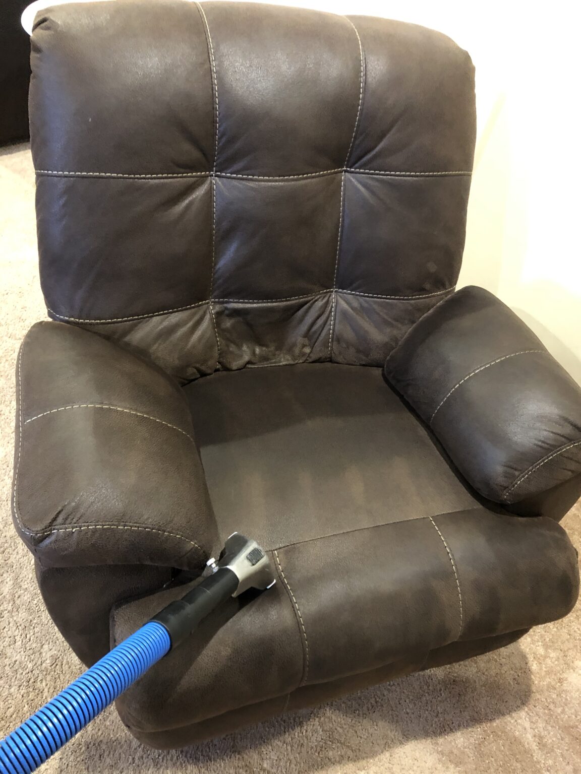 Gallery Top Steam Carpet