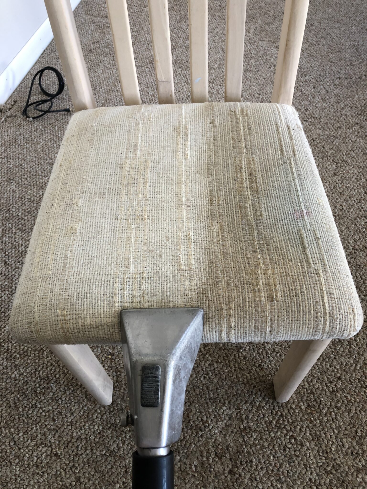 Gallery Top Steam Carpet