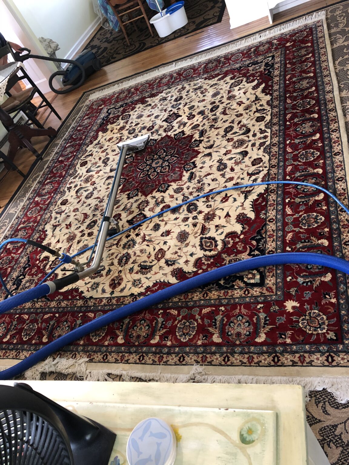 Gallery Top Steam Carpet