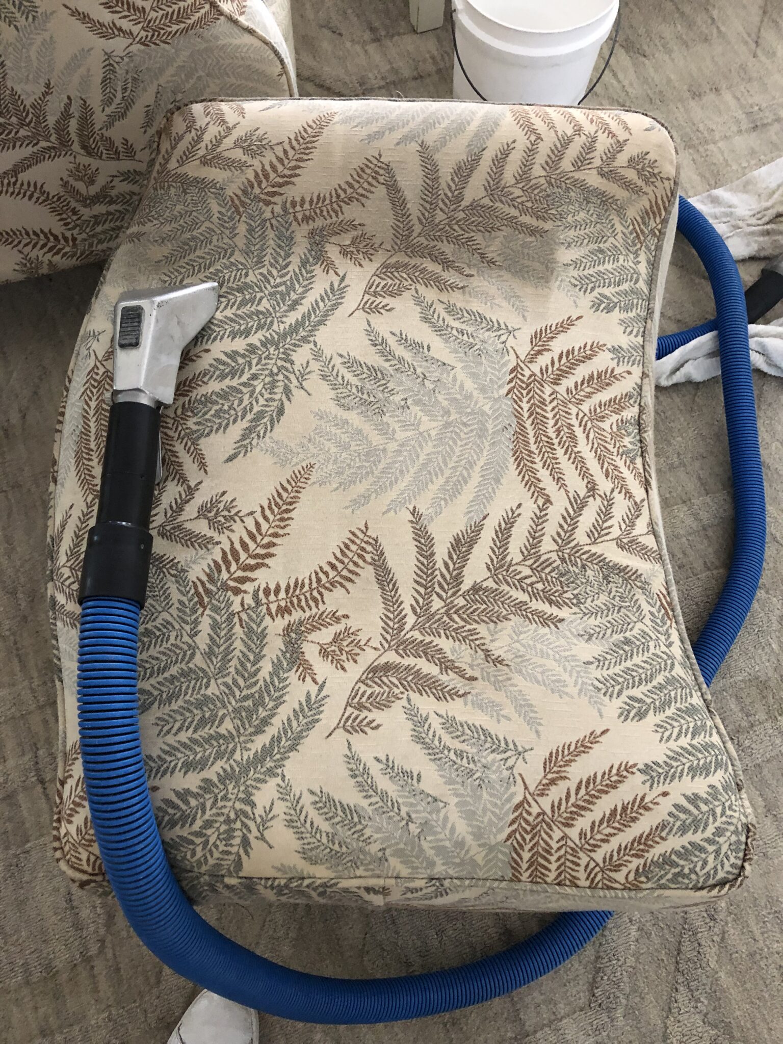 Gallery Top Steam Carpet