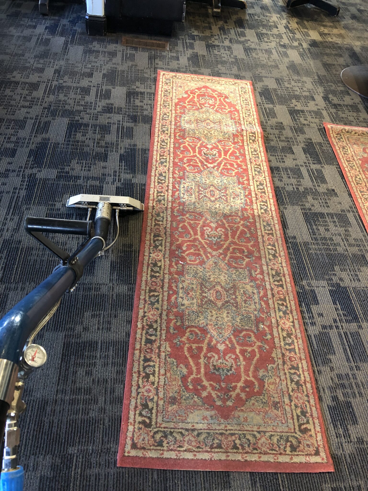 Gallery Top Steam Carpet